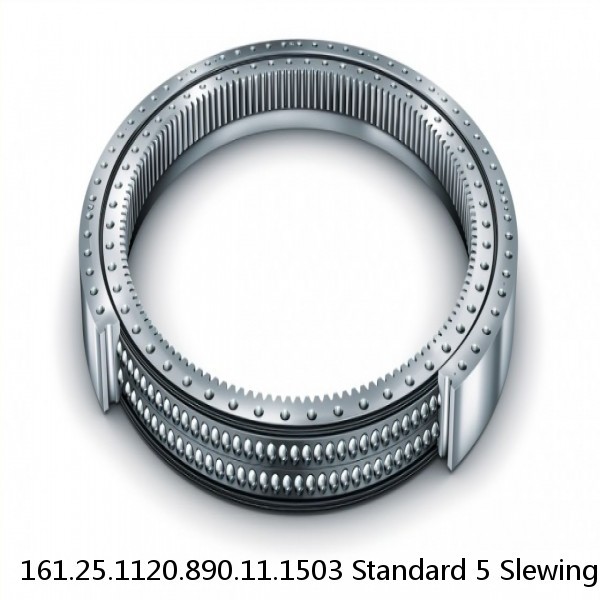 161.25.1120.890.11.1503 Standard 5 Slewing Ring Bearings