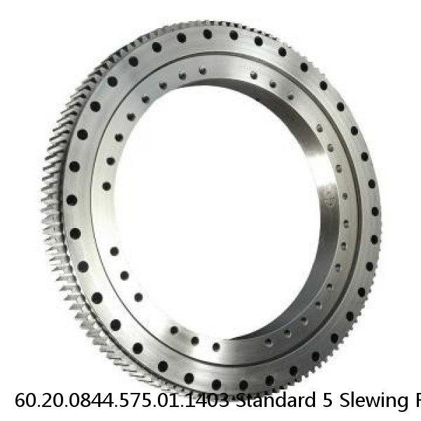 60.20.0844.575.01.1403 Standard 5 Slewing Ring Bearings