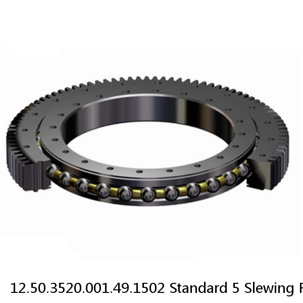 12.50.3520.001.49.1502 Standard 5 Slewing Ring Bearings