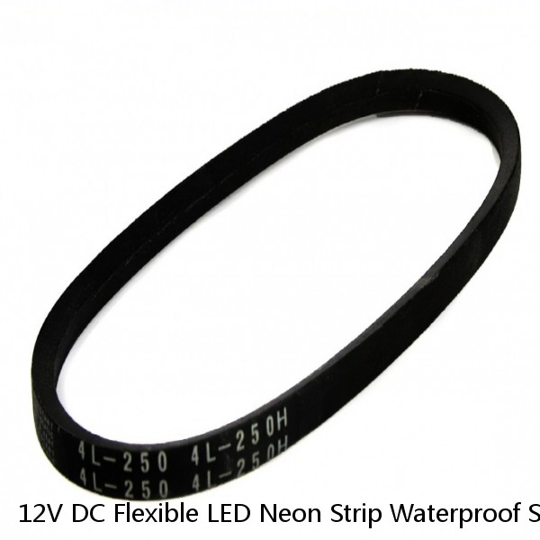 12V DC Flexible LED Neon Strip Waterproof Silicone For Neon Sign Lights 1M 3M 5M