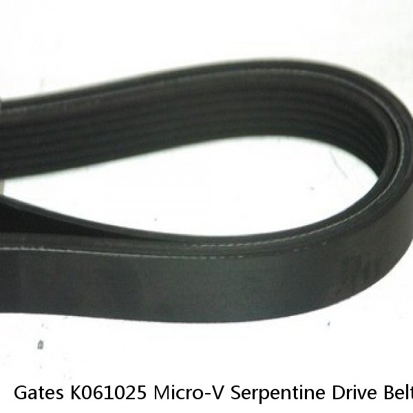 Gates K061025 Micro-V Serpentine Drive Belt