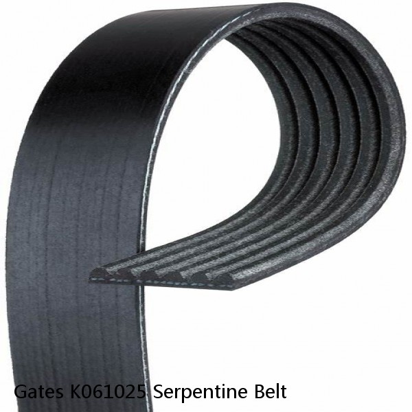 Gates K061025 Serpentine Belt