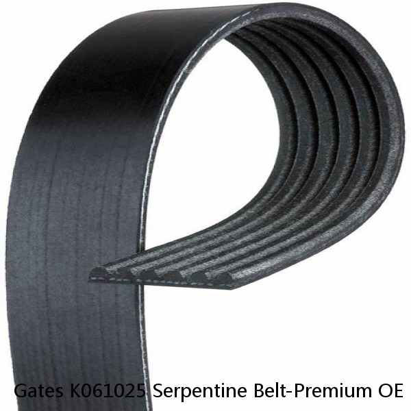 Gates K061025 Serpentine Belt-Premium OE Micro-V Belt 