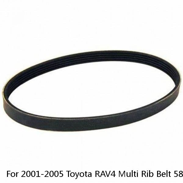 For 2001-2005 Toyota RAV4 Multi Rib Belt 58541NS 2002 2003 2004