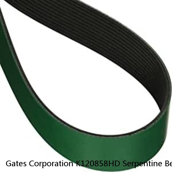 Gates Corporation K120858HD Serpentine Belt   Fleet Runner Heavy Duty Micro V